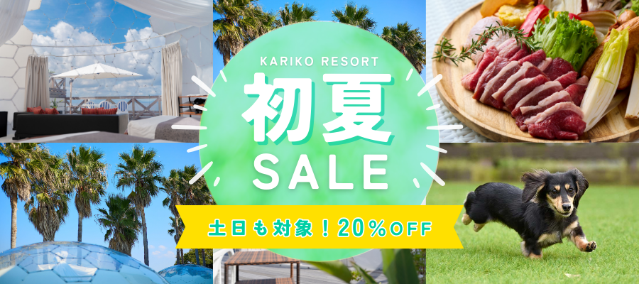 初夏セール