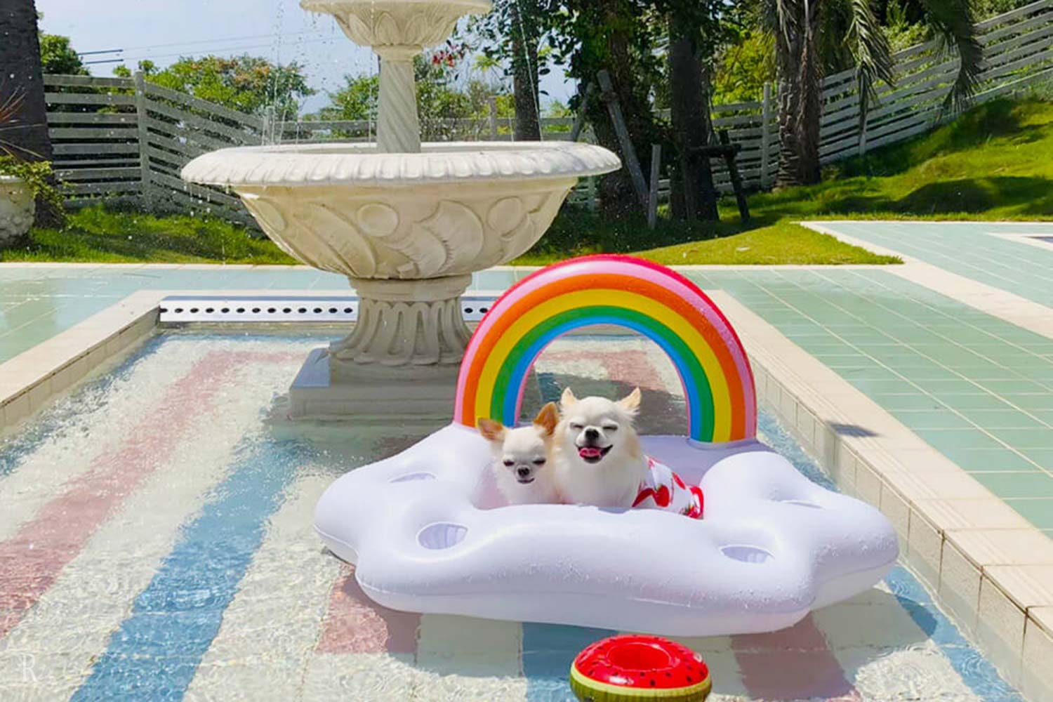 愛犬家に嬉しい！充実したドッグフレンドリーサービス